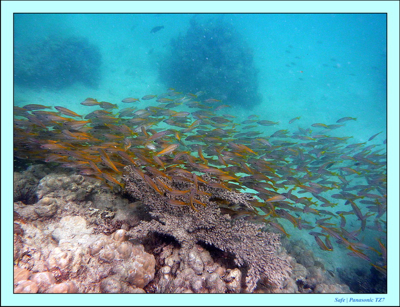 2011 - 03 - Koh Kradan 056